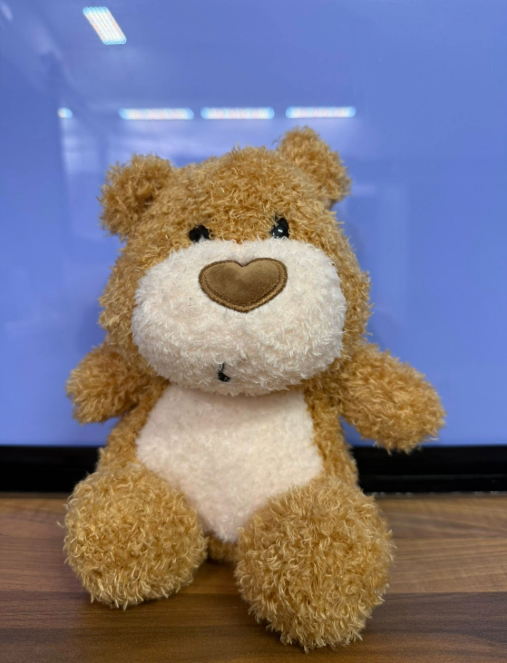 Teddy